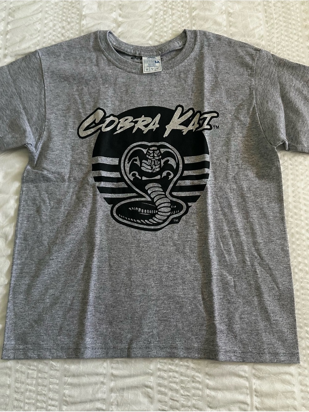 Bioworld Kids Grey Cobra Kai Graphic Tee - Youth Small